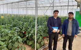 راه اندازی واحد گلخانه تولید گوجه فرنگی به مساحت 3000مترمربع با مشارکت بانک کشاورزی استان اصفهان