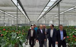 بازدید مدیرعامل بانک کشاورزی از طرح های مشارکتی این بانک در استان مازندران