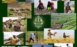امضای تفاهم نامه همکاری بانک کشاورزی و استانداری سمنان برای اجرای61 طرح تولیدی در بخش کشاورزی