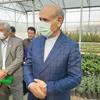  بازدید مدیرعامل بانک کشاورزی درمعیت وزیر جهاد کشاورزی از نهالستان و گلخانه مرادلو ، پروژه مشارکتی بانک کشاورزی در استان اردبیل