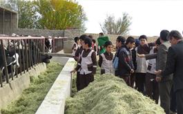 بازدید دانش آموزان شاهرودی از طرح‌های کشاورزی استان 