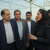 دکتر شهیدزاده در بازدید  از گلخانه 160هکتاری  پارادایس در اصفهان:  حمایت از طرح های تولیدی، وظیفه اصلی بانک کشاورزی است