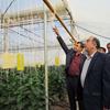 دکتر شهیدزاده در بازدید  از گلخانه 160هکتاری  پارادایس در اصفهان:  حمایت از طرح های تولیدی، وظیفه اصلی بانک کشاورزی است