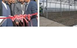 افتتاح گلخانه سبزی و صیفی جات با حمایت 26 میلیارد ریالی بانک کشاورزی استان لرستان در دهه مبارک فجر
