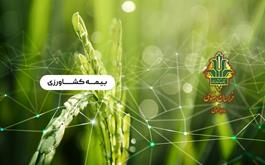 بیمه بیش از 3.355.854 واحد دامی در بانک کشاورزی استان خراسان رضوی