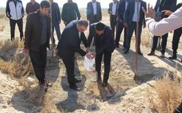 حضور بانک کشاورزی استان بوشهر در طرح ملی کاشت یک میلیارد درخت
