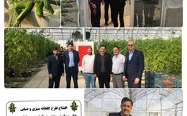 احداث و راه اندازی یک واحد گلخانه در شهرستان گنبد کاوس با مشارکت بانک کشاورزی استان گلستان