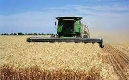 خرید بیش از143هزارتن گندم از کشاورزان گندمکار جنوب استان ایلام