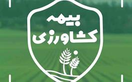 بيمه بیش از 44 هزار هکتار از اراضي کشاورزی استان همدان در بانک کشاورزی
