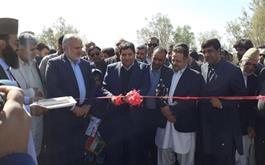 آغاز عملیات اجرایی طرح پرواربندی 240 هزار رأسی دام سنگین با مشارکت بانک کشاورزی در استان سیستان و بلوچستان