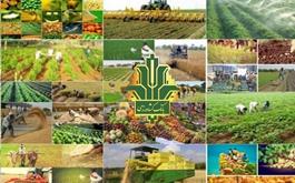 رشد 72 درصدی تسهیلات پرداختی بانک کشاورزی در سه ماهه اول سال1401