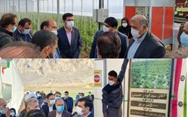 افتتاح  گلخانه تولید سبزی و صیفی با حمایت بانک کشاورزی در استان فارس