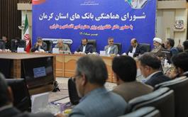 وزیر اقتصاد در جلسه شورای هماهنگی بانکهای کرمان:وضعیت تامین مالی در شبكه بانكی كشور بغرنج است