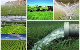 پرداخت بیش از 467 ريال تسهيلات زراعت توسط بانك كشاورزي استان همدان
