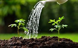 پرداخت 1446 میلیارد ریال تسهیلات آب و خاک توسط بانک کشاورزی استان گلستان