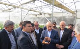 بازدید مدیرعامل بانک کشاورزی از شعب و طرح های مشارکتی بانک در استان سمنان