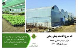 پویش اخبار دهه فجر ، حمایت 5 میلیاردریالی بانک کشاورزی از گلخانه جعفر رضائی