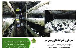 پویش اخبار دهه فجر -    حمایت 52  میلیارد ریالی   بانک کشاورزی از شرکت قارچ مهر آذر