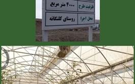 افتتاح گلخانه سبزی و صیفی جات با حمایت 22 میلیارد ریالی بانک کشاورزی استان لرستان در دهه مبارک فجر