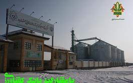 واریز 93درصد وجوه گندم خریداری شده  در استان آذربایجان شرقی توسط بانک کشاورزی
