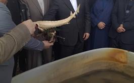 همراهی و حضور موثر بانک کشاورزی در  سفر یک روزه  رئیس جمهور به استان گیلان