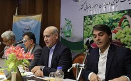 مدیر عامل بانک کشاورزی در مشهد: بانک کشاورزی از طرح های اولویت دار بخش کشاورزی حمایت می کند