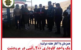 افتتاح یک واحد گاوداری ۲۰۰ رأسی در شهرستان مرودشت استان فارس