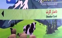 تحقق 125 درصدی برنامه پرداخت تسهیلات دامدار کارت در شعب بانک کشاورزی استان مازندران 