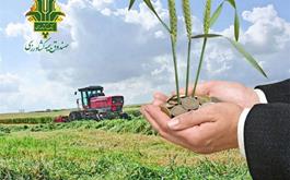 تحقق 118درصدی برنامه بیمه زراعت توسط صندوق بیمه کشاورزی در سال زراعی جاری