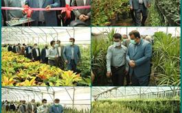 افتتاح واحد تولیدی گل و گیاه به مساحت 4000 متر مربع در استان مازندران با حمایت بانک کشاورزی
