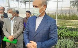  بازدید مدیرعامل بانک کشاورزی درمعیت وزیر جهاد کشاورزی از نهالستان و گلخانه مرادلو ، پروژه مشارکتی بانک کشاورزی در استان اردبیل