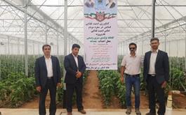 مراسم افتتاح واحد گلخانه تولیدی سبزی و صیفی آقای یاسر احمدی در منطقه بجدانه بوانات
