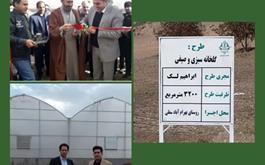 افتتاح گلخانه سبزی و صیفی جات با حمایت 25 میلیارد ریالی بانک کشاورزی استان لرستان در دهه مبارک فجر