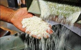 احداث واحد4000 تنی برنج کوبی با مشارکت بانک کشاورزی در استان خوزستان