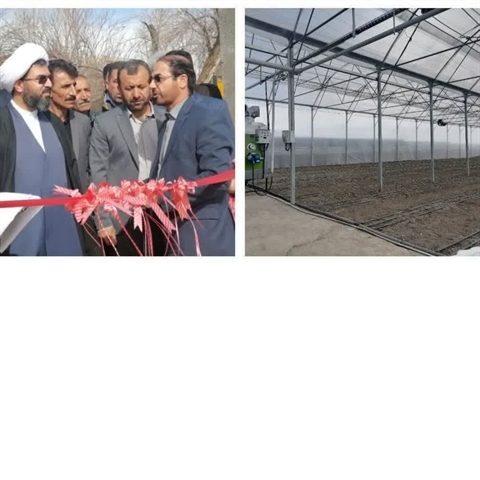 افتتاح گلخانه سبزی و صیفی جات با حمایت 26 میلیارد ریالی بانک کشاورزی استان لرستان در دهه مبارک فجر