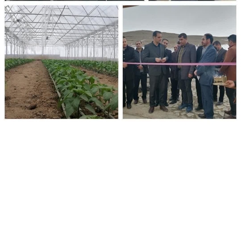 افتتاح گلخانه سبزی و صیفی جات با حمایت 33 میلیارد ریالی بانک کشاورزی استان لرستان در دهه مبارک فجر
