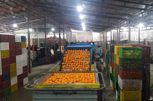 راه اندازی پایانه صادراتی کشاورزی افق ایرانیان با مشارکت بانک کشاورزی استان آذربایجان شرقی