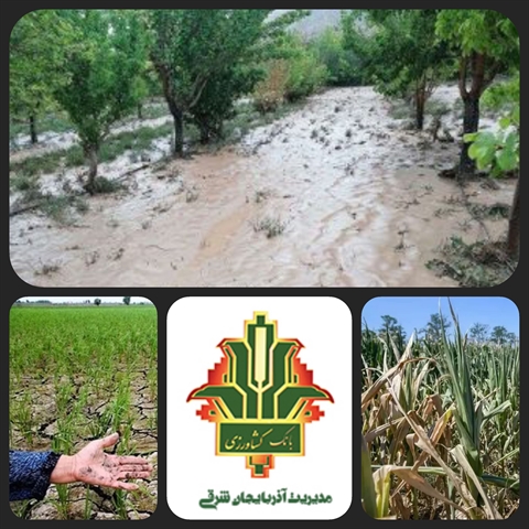 مساعدت بانک کشاورزی استان آذربایجان شرقی در امهال ۱۴هزار و ۵۰۰ میلیارد ریال مطالبات خسارت دیدگان بخش کشاورزی