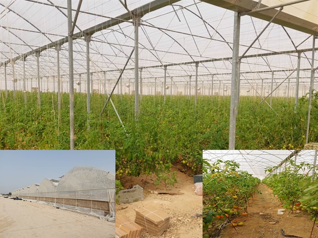 افتتاح و بهره برداری از طرح احداث گلخانه تولید سبزی و صیفی در استان هرمزگان