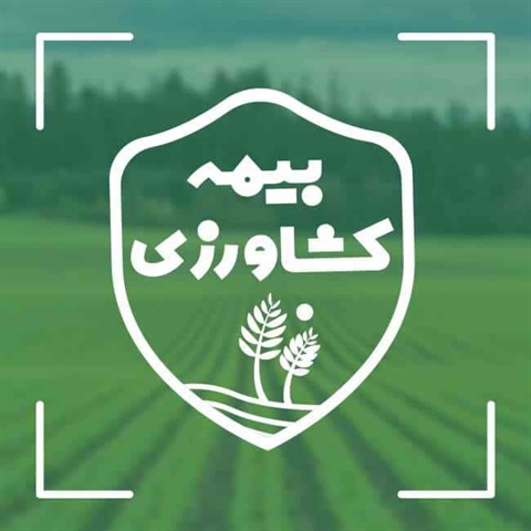 بيمه بیش از 44 هزار هکتار از اراضي کشاورزی استان همدان در بانک کشاورزی