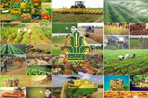 رشد 88 درصدی تسهیلات پرداختی بانک کشاورزی استان لرستان نسبت به سال گذشته