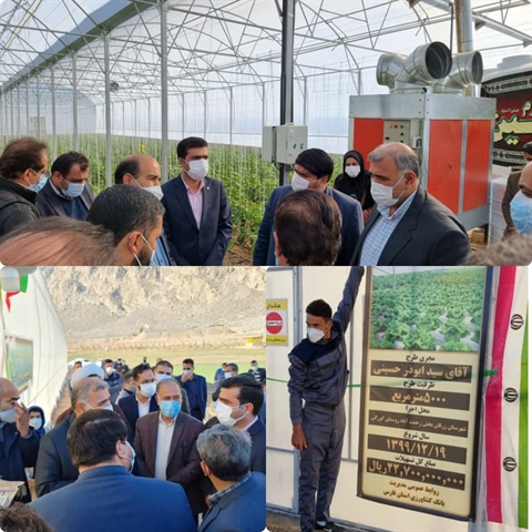 افتتاح  گلخانه تولید سبزی و صیفی با حمایت بانک کشاورزی در استان فارس