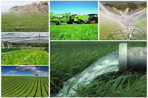 پرداخت بیش از 1314 میلیارد ريال تسهيلات زراعت توسط بانك كشاورزي استان همدان