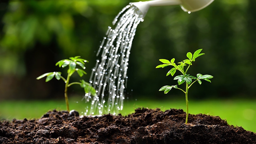 پرداخت 1446 میلیارد ریال تسهیلات آب و خاک توسط بانک کشاورزی استان گلستان