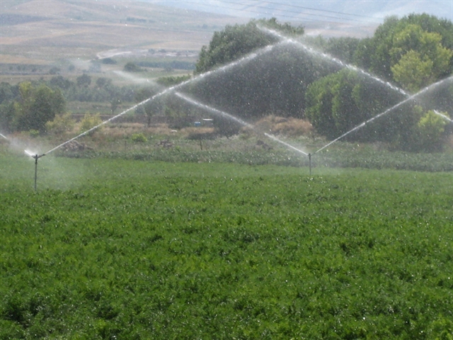 پرداخت 1350ميليارد ريال تسهيلات زراعی در بانك كشاورزي استان آذربایجان شرقی