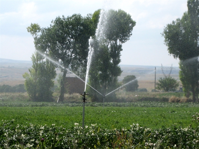 پرداخت 5360 ميليارد ريال تسهيلات زراعی در بانك كشاورزي استان آذربایجان شرقی