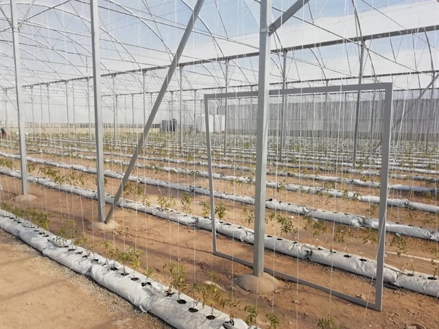 افتتاح طرح گلخانه هیدروپونیک صیفی وسبزیجات با استفاده ازتسهیلات بانک کشاورزی