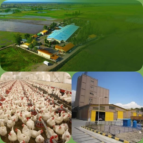 بانک کشاورزی حامی تولید و کارآفرینان/ حمایت 450 میلیاردی بانک کشاورزی از مجتمع گسترش و توسعه صنایع بهپرور