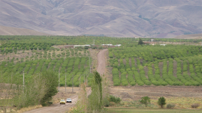پرداخت بیش از 533 ميليارد ريال تسهيلات باغداری در بانك كشاورزي استان آذربایجان شرقی