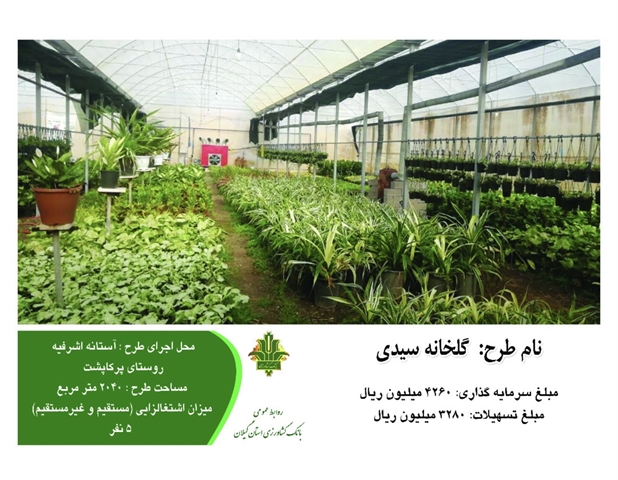 پویش اخبار دهه فجر ، حمایت 3 میلیاردریالی بانک کشاورزی از گلخانه سیدی